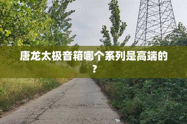 唐龙太极音箱哪个系列是高端的？