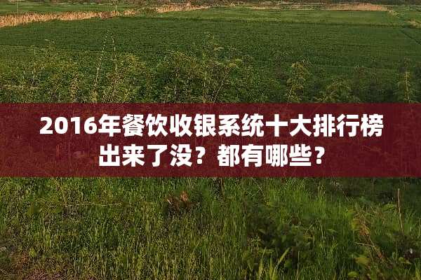 2016年餐饮收银系统十大排行榜出来了没？都有哪些？