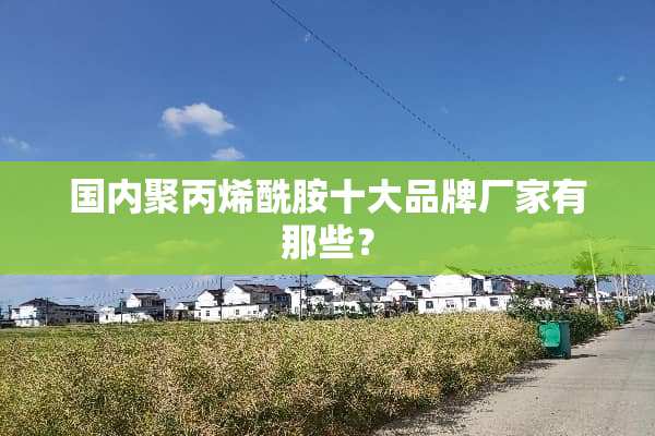 国内聚丙烯酰胺十大品牌厂家有那些？