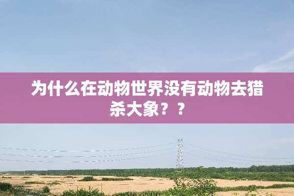 为什么在动物世界没有动物去猎杀大象？？