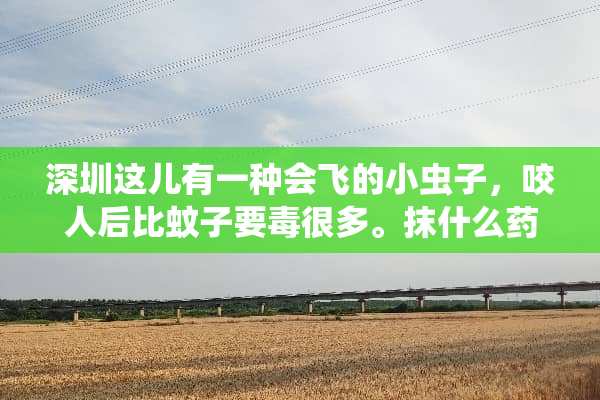 深圳这儿有一种会飞的小虫子，咬人后比蚊子要毒很多。抹什么药啊？