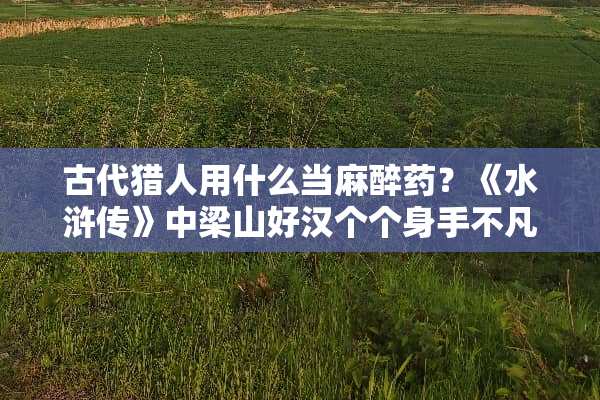 古代猎人用什么当**药？《水浒传》中梁山好汉个个身手不凡