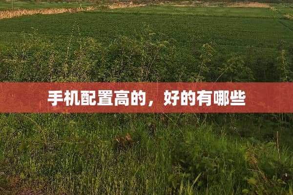 手机配置高的，好的有哪些
