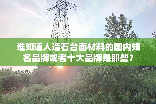 谁知道人造石台面材料的国内知名品牌或者十大品牌是那些？