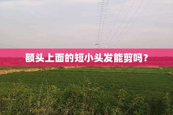 额头上面的短小头发能剪吗？