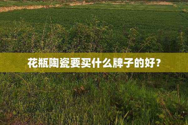 花瓶陶瓷要买什么牌子的好？