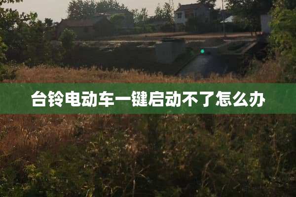 台铃电动车一键启动不了怎么办