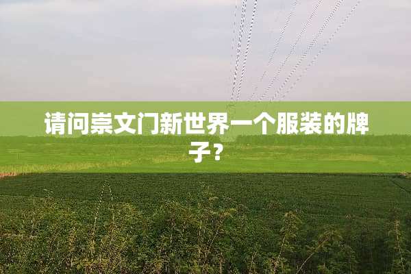 请问崇文门新世界一个服装的牌子？