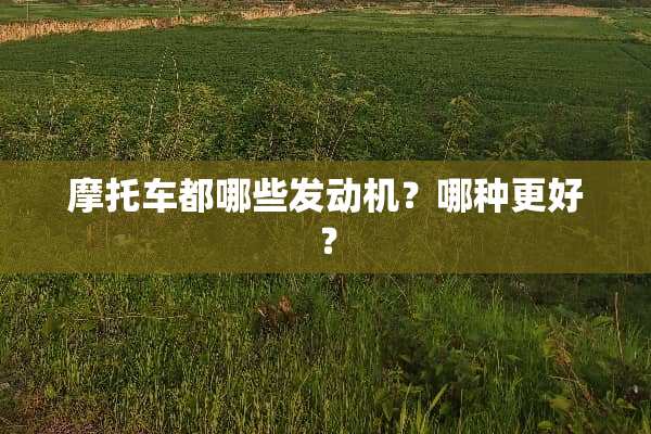 摩托车都哪些发动机？哪种更好？