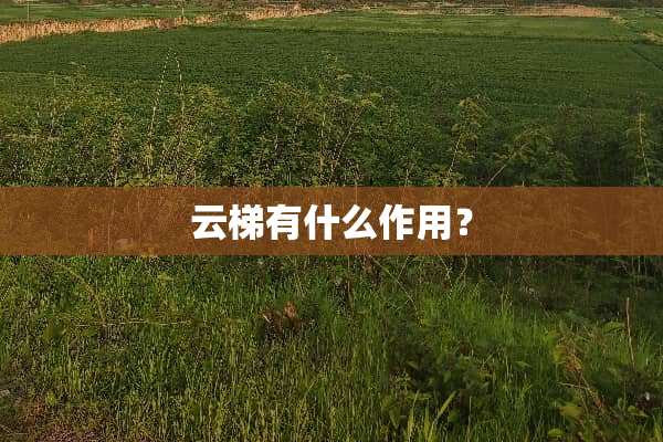 云梯有什么作用？