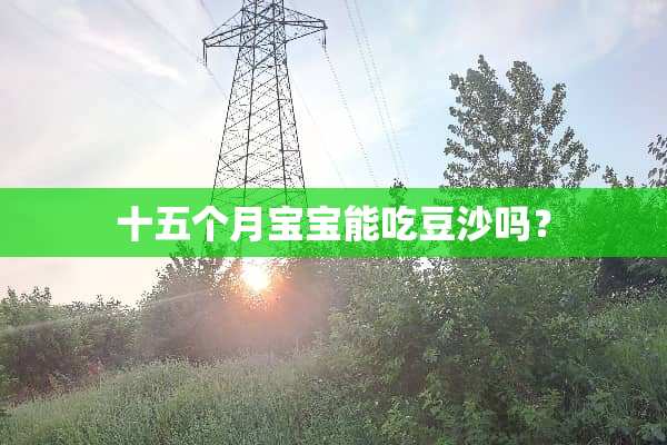 十五个月宝宝能吃豆沙吗？