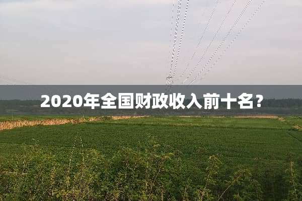 2020年全国财政收入前十名？