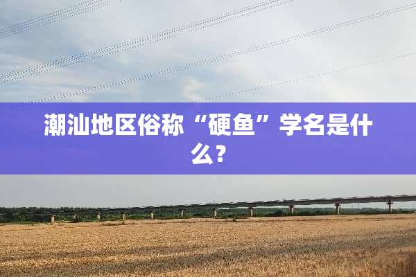 潮汕地区俗称“硬鱼”学名是什么？