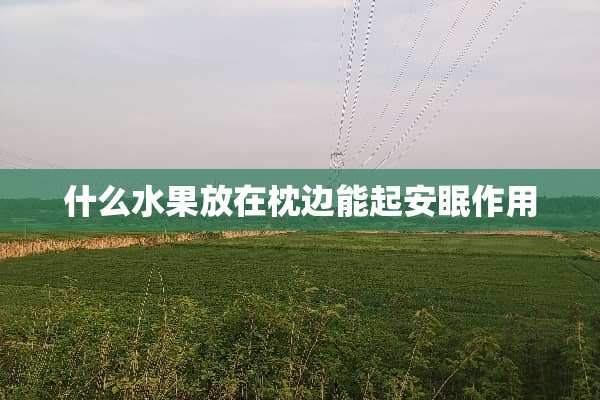 什么水果放在枕边能起安眠作用