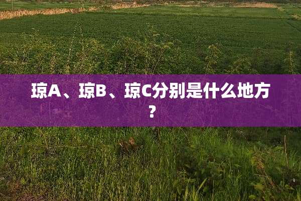 琼A、琼B、琼C分别是什么地方？