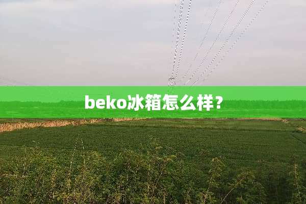 beko冰箱怎么样？