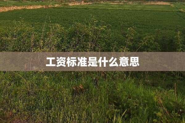 工资标准是什么意思