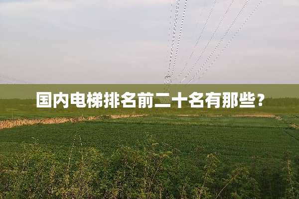 国内电梯排名前二十名有那些？