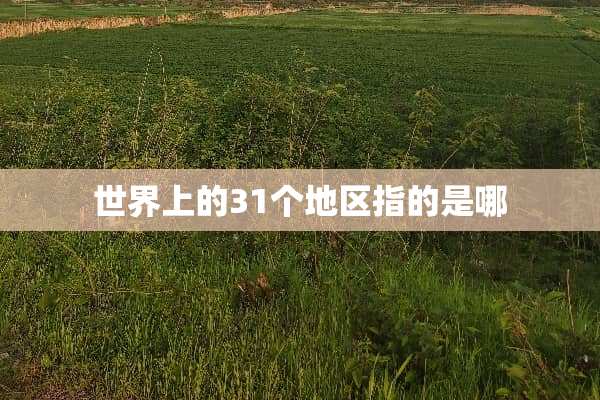 世界上的31个地区指的是哪