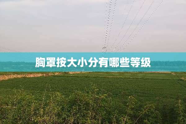**按大小分有哪些等级