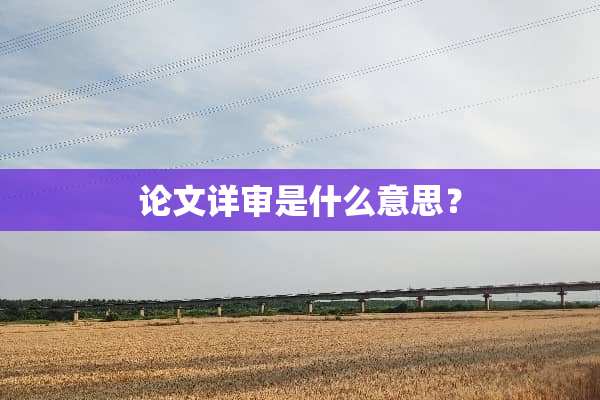 论文详审是什么意思？