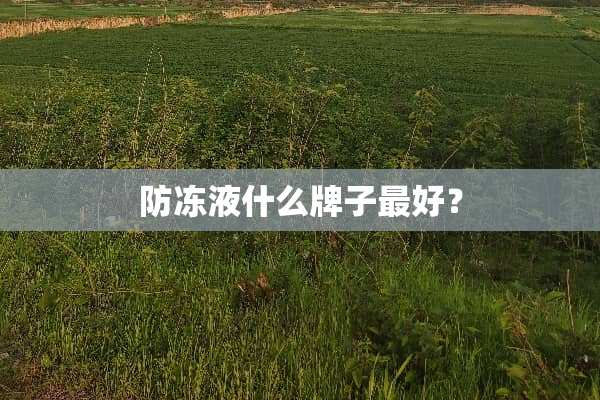 防冻液什么牌子最好？