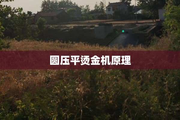圆压平烫金机原理
