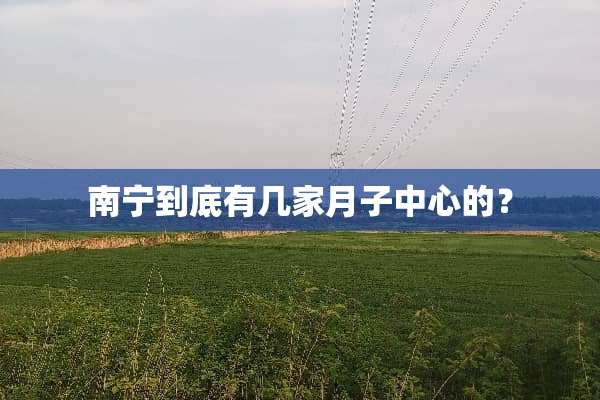 南宁到底有几家月子中心的？
