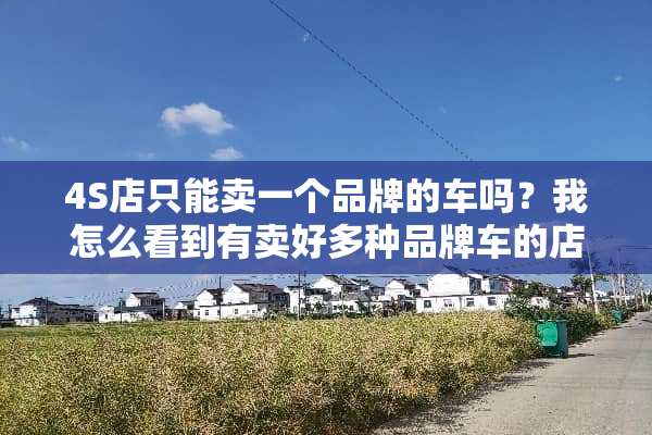 4S店只能卖一个品牌的车吗？我怎么看到有卖好多种品牌车的店啊可信吗？