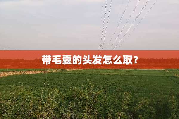 带毛囊的头发怎么取？