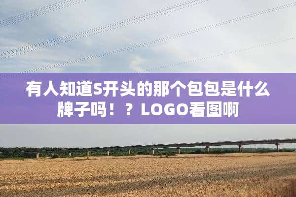 有人知道S开头的那个包包是什么牌子吗！？LOGO看图啊