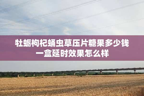 牡蛎枸杞蛹虫草压片糖果多少钱一盒延时效果怎么样