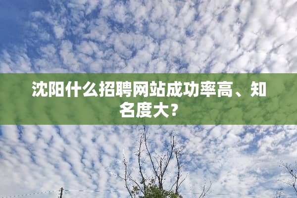 沈阳什么招聘网站成功率高、知名度大？