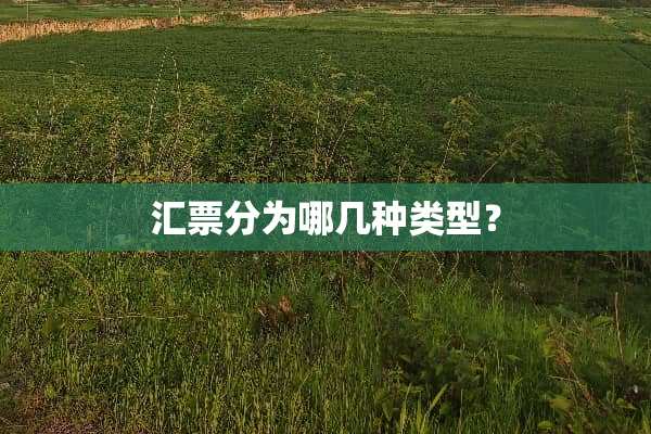 汇票分为哪几种类型？