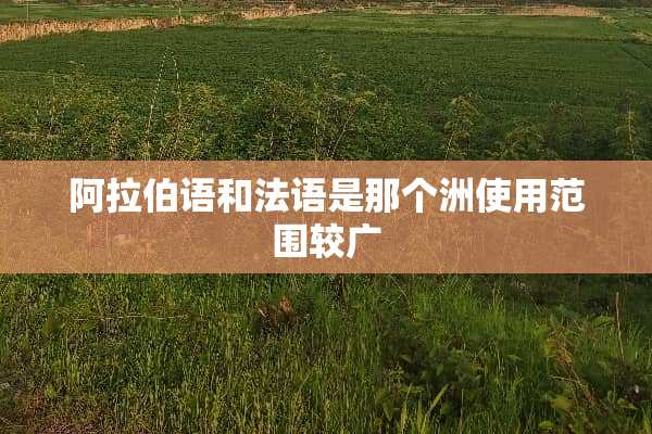 阿拉伯语和法语是那个洲使用范围较广