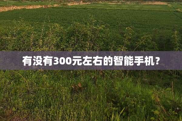 有没有300元左右的智能手机？