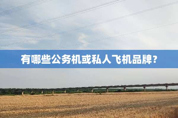 有哪些公务机或私人飞机品牌？