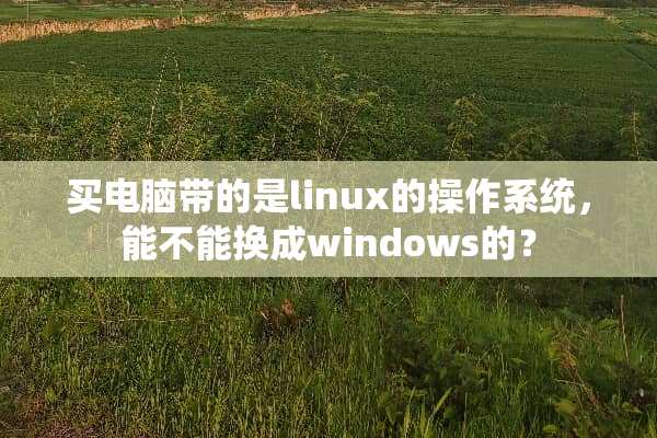 买电脑带的是linux的操作系统，能不能换成windows的？