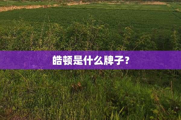皓顿是什么牌子？