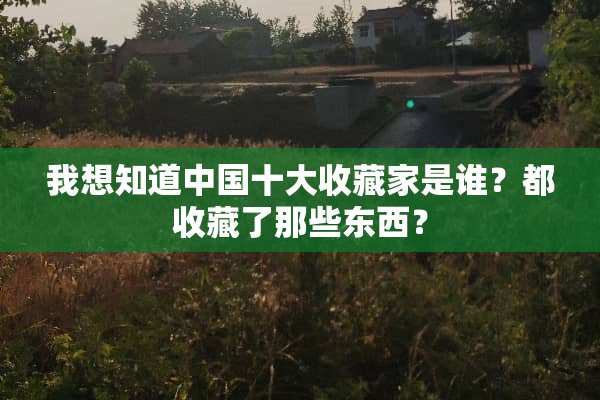 我想知道中国十大收藏家是谁？都收藏了那些东西？