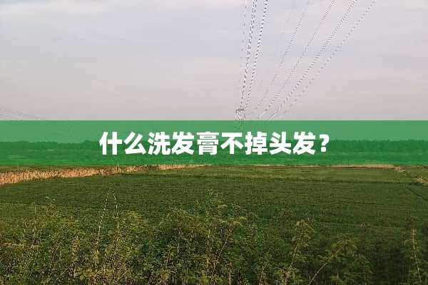 什么洗发膏不掉头发？