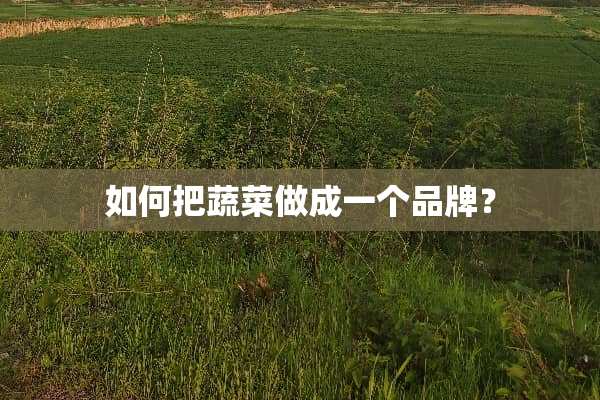 如何把蔬菜做成一个品牌？