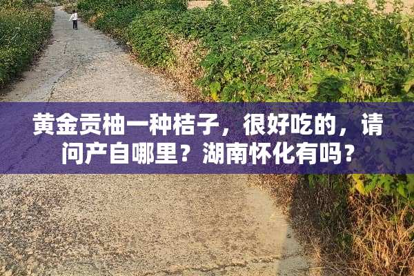 黄金贡柚一种桔子，很好吃的，请问产自哪里？湖南怀化有吗？