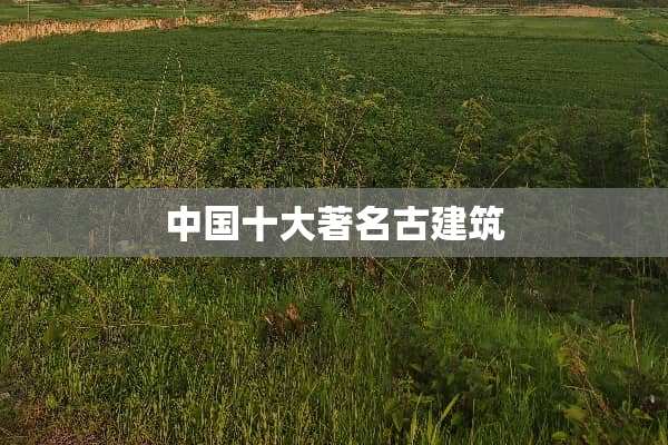 中国十大著名古建筑