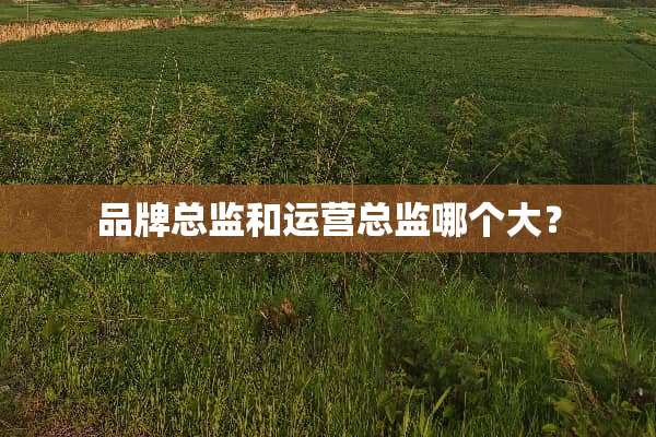 品牌总监和运营总监哪个大？