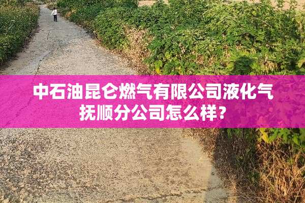 中石油昆仑燃气有限公司液化气抚顺分公司怎么样？