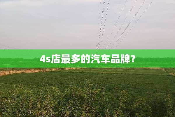 4s店最多的汽车品牌？