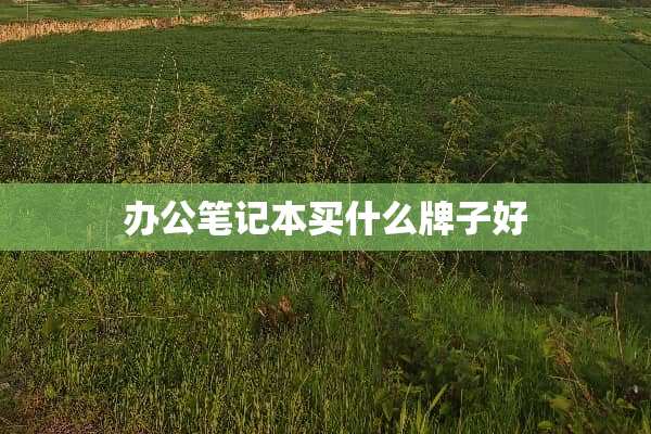 办公笔记本买什么牌子好