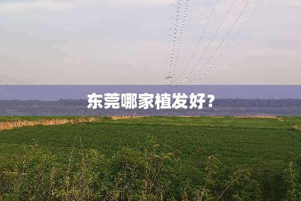 东莞哪家植发好？