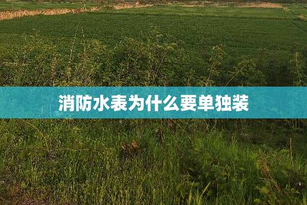 消防水表为什么要单独装
